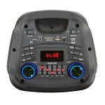 Портативная колонка Eltronic 20-58 DANCE BOX 500 Black