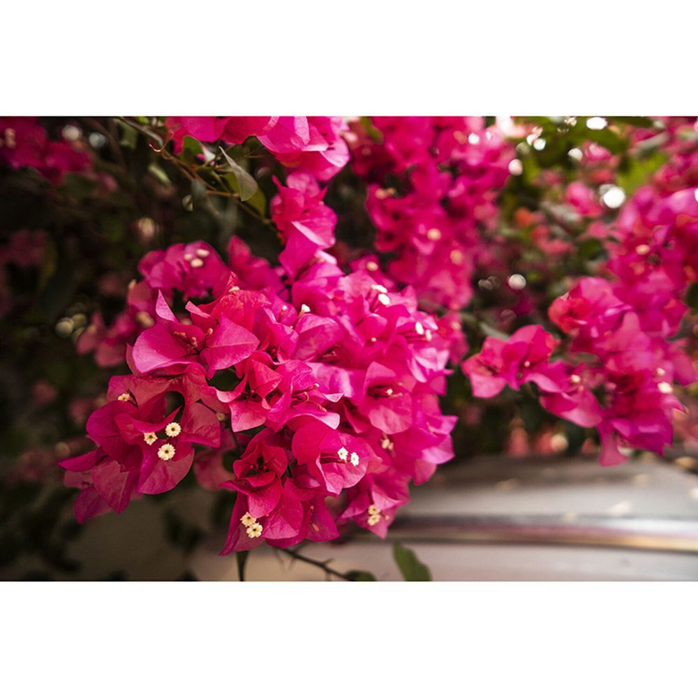 Объектив Viltrox AF 13mm F1.4 E-mount