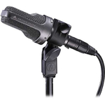Микрофон Audio-Technica AE3000 Large Diaphragm Cardioid Condenser Mic