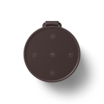 Портативная колонка Bang & Olufsen Beosound Explore Chestnut Chestnut (Beosound Explore)