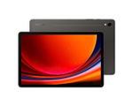Планшет Samsung Galaxy Tab S9 Wi-Fi 128GB Gray (SM-X710N)