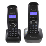 DECT телефон Panasonic KX-TG1612RUH черный, серый