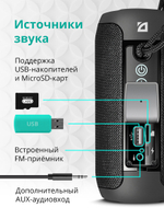 Портативная колонка Defender Enjoy S700 Black