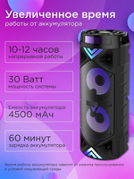 Портативная колонка S&H ZQS6201(3) Black (88043695)