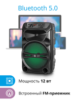 Портативная колонка Defender G110 Black