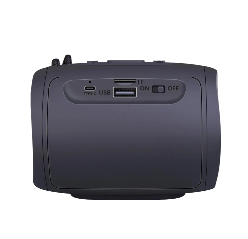 Портативная колонка Defender Enjoy S200 Black