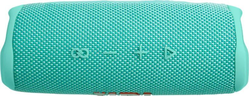 Колонка портативная JBL Flip 6 Бирюзовый