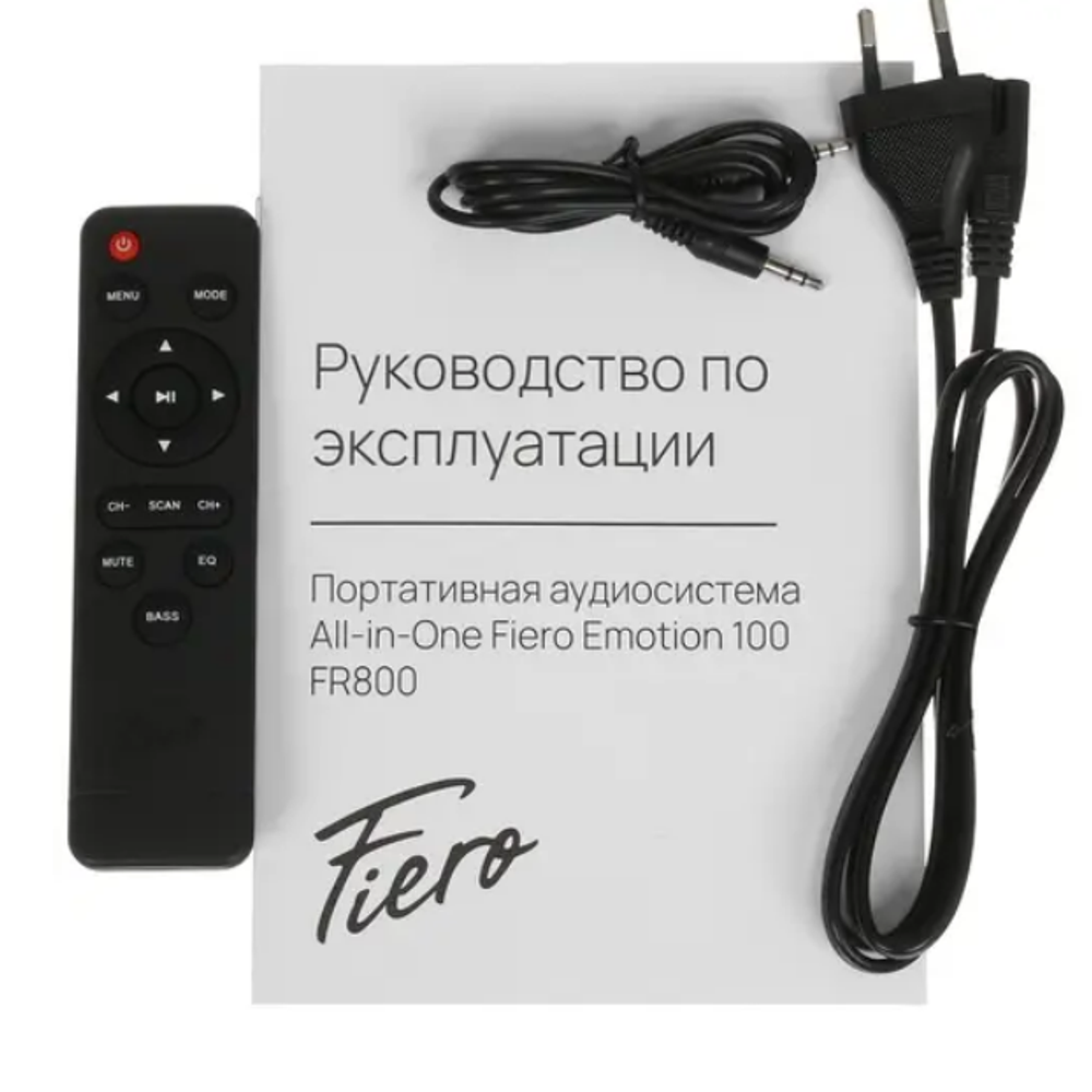 Портативная колонка Fiero Emotion 100 FR800 Black