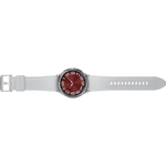 Смарт-часы Samsung Galaxy Watch 6 Classic, silver (43мм)