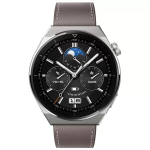 Смарт-часы Huawei GT 3 Pro ODN-B19 Light Titanium / Gray Leather