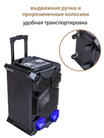 Портатиная колонка  National NSM-V450