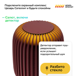 Колонка умная Sber SberBoom 40 Вт, с голосовым ассистентом Салют, красная