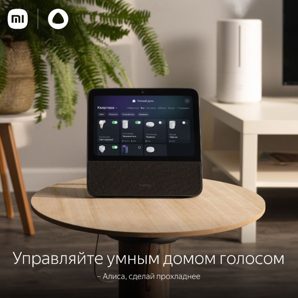Портативная колонка Xiaomi Smart Display 10R Black (QBH4254RU)