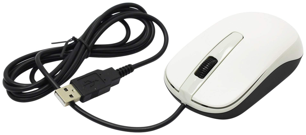 Мышь Genius DX-120 White