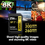Карта памяти LEXAR Professional 2000x SDXC UHS-2 U3 V90 64 ГБ