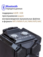 Портатиная колонка  National NSM-V450