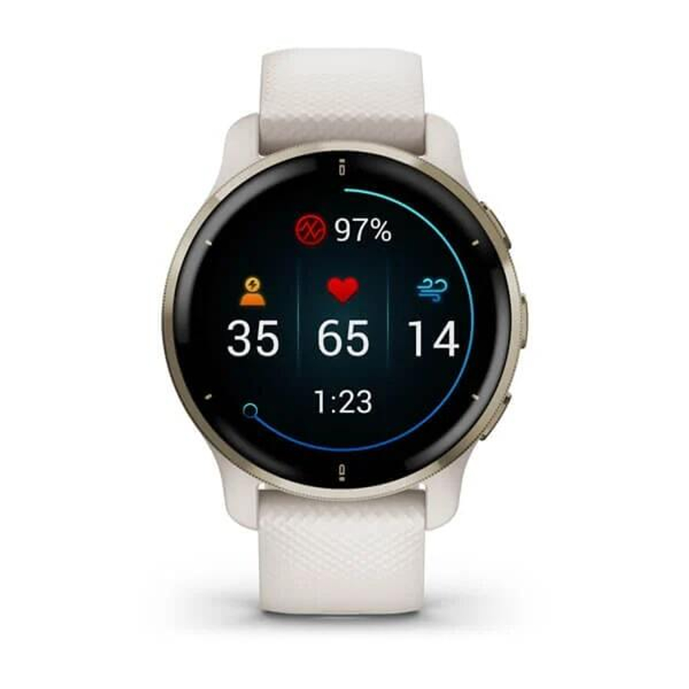 Смарт-часы GARMIN Venu 2 plus (010-02496-12)