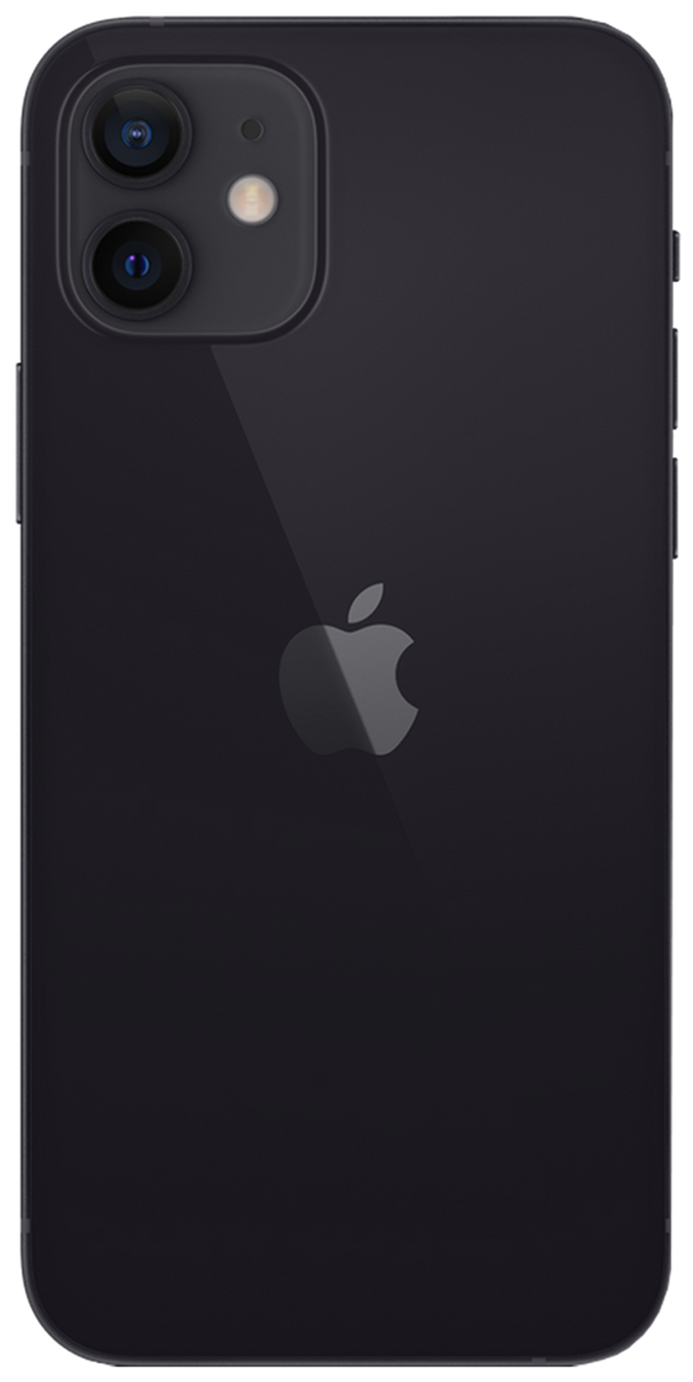Смартфон Apple iPhone 12 64 GB Nano SIM/eSIM черный