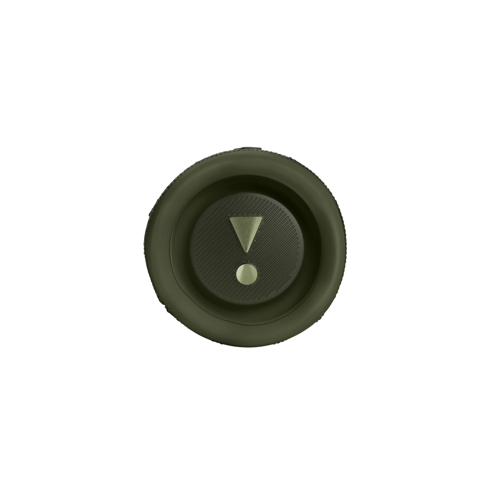 Портативная колонка JBL Flip 6 Green (JBLFLIP6GRENAM)