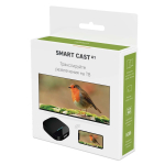 Смарт-приставка Rombica Smart Cast A1 SC-A0009 1/16GB Black