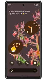 Смартфон Google Pixel 6 8/128GB Stormy Black