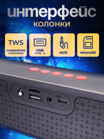 Портативная колонка T&G TG-271 Black