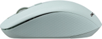 Беспроводная мышь ACER OMR309 зеленый (ZL.MCECC.030)