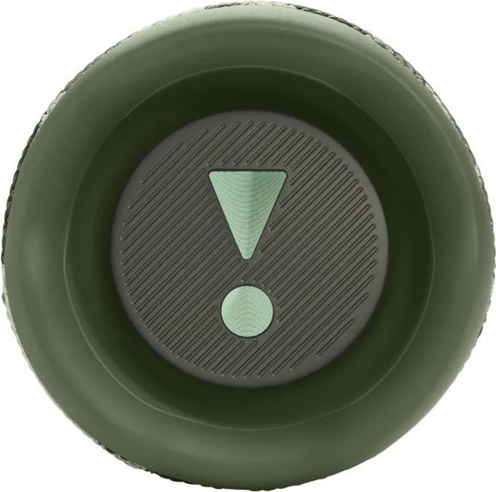 Колонка портативная JBL Flip 6 Хаки