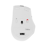 Беспроводная мышь A4Tech Fstyler FB35C White/Gray