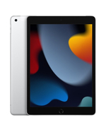 Планшет Apple 10.2" 2021г 8/256GB Wi-Fi серебристый iPad 2021