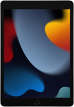 Планшет Apple 10.2" 2021г 8/256GB Wi-Fi серебристый iPad 2021