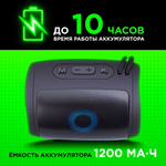 Портативная колонка Defender Enjoy S200 Black