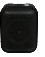 Портативная колонка Fiero Emotion 100 FR800 Black