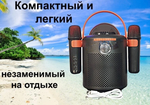 Портативная колонка KTV Y-11 Black