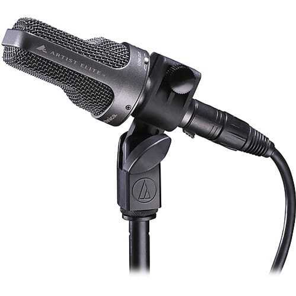 Микрофон Audio-Technica AE3000 Large Diaphragm Cardioid Condenser Mic