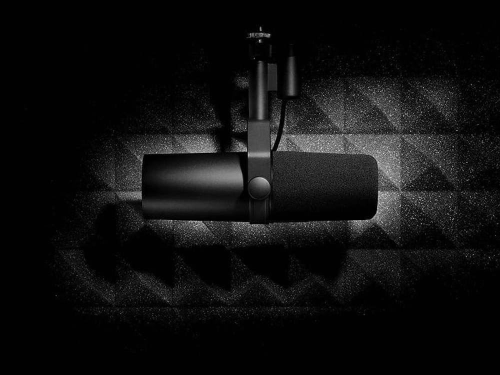 Динамический микрофон Shure SM7B Cardioid Dynamic Microphone