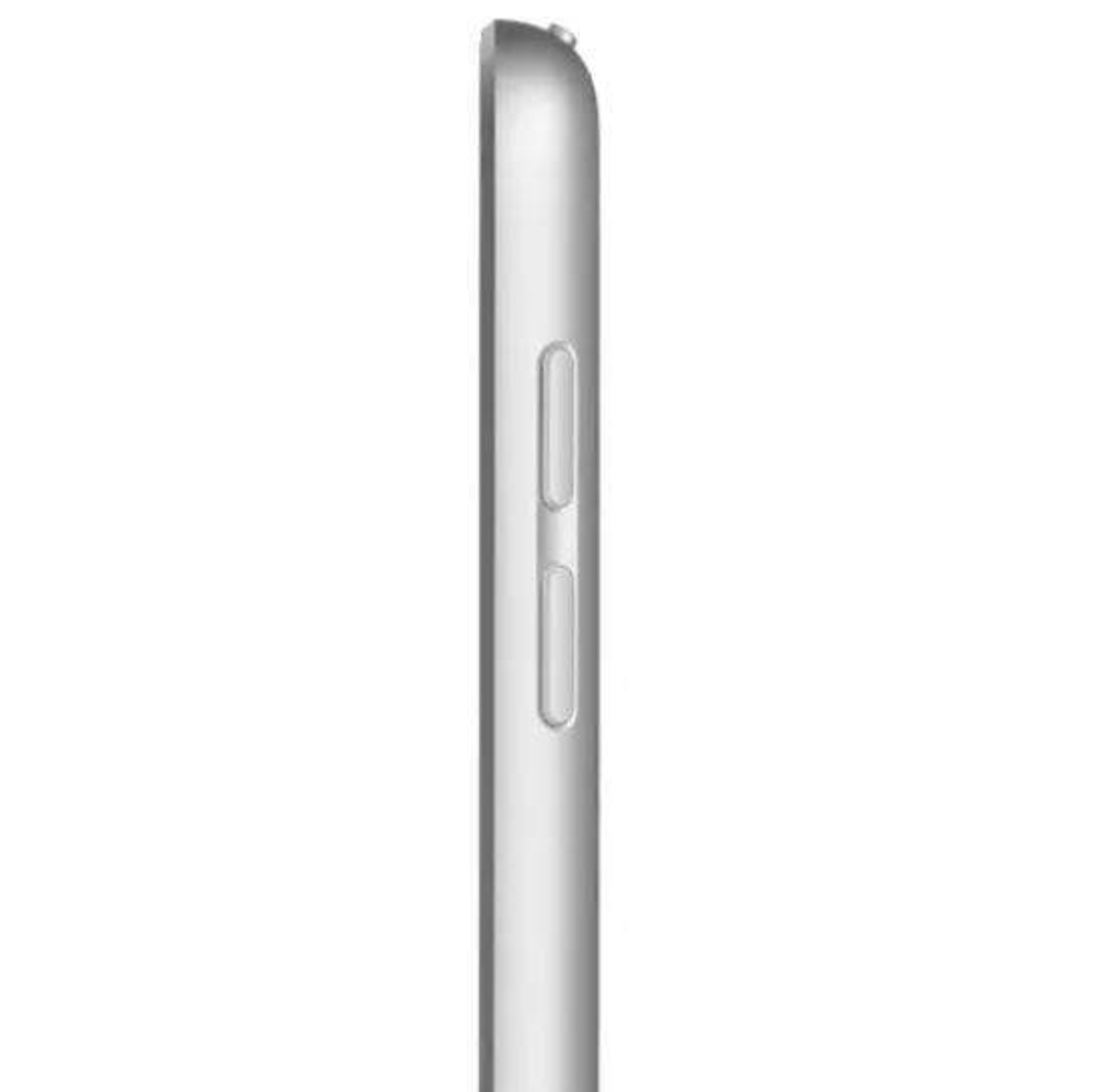 Планшет Apple iPad A2602 4/256GB (MK2P3LL/A)