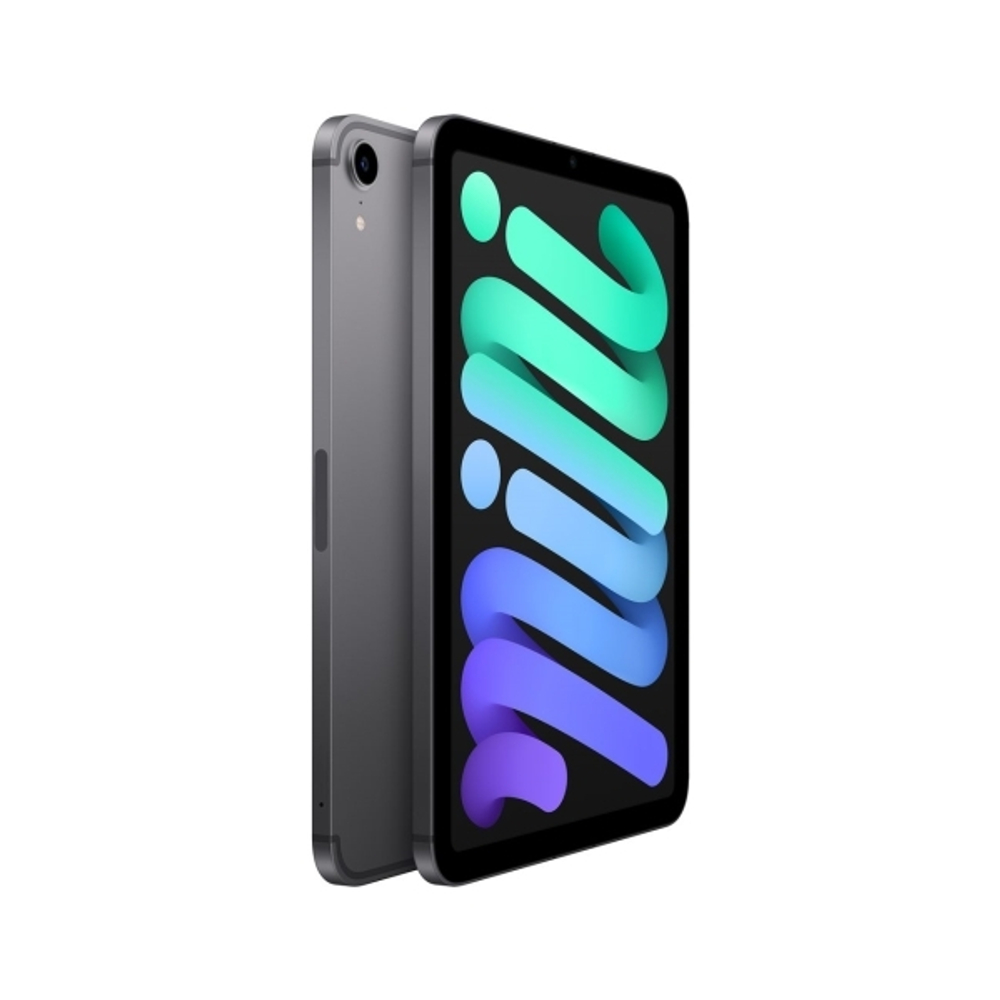 Планшет Apple iPad mini 64GB Wi-Fi + Cellular Space Grey (MK893)