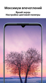 Смартфон OPPO 17 4/64GB Starry Black (6053910)