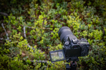 Фотоаппарат зеркальный Canon EOS 90D Body Black