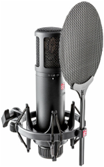 Конденсаторный микрофон sE Electronics SE2200 Large Diaphragm Cardioid Condenser Microphone