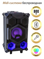 Портатиная колонка  National NSM-V450