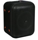 Портативная колонка Fiero Emotion 100 FR800 Black