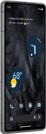 Смартфон Google Pixel 7 8/128 ГБ Черный (JP)