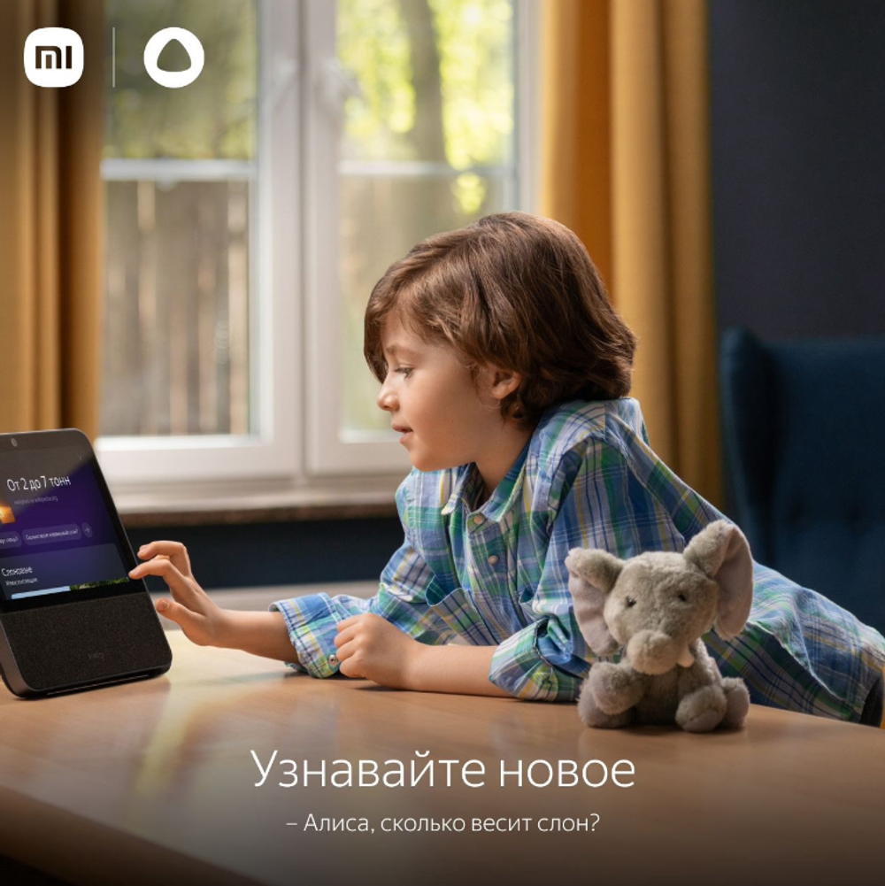 Портативная колонка Xiaomi Smart Display 10R Black (QBH4254RU)