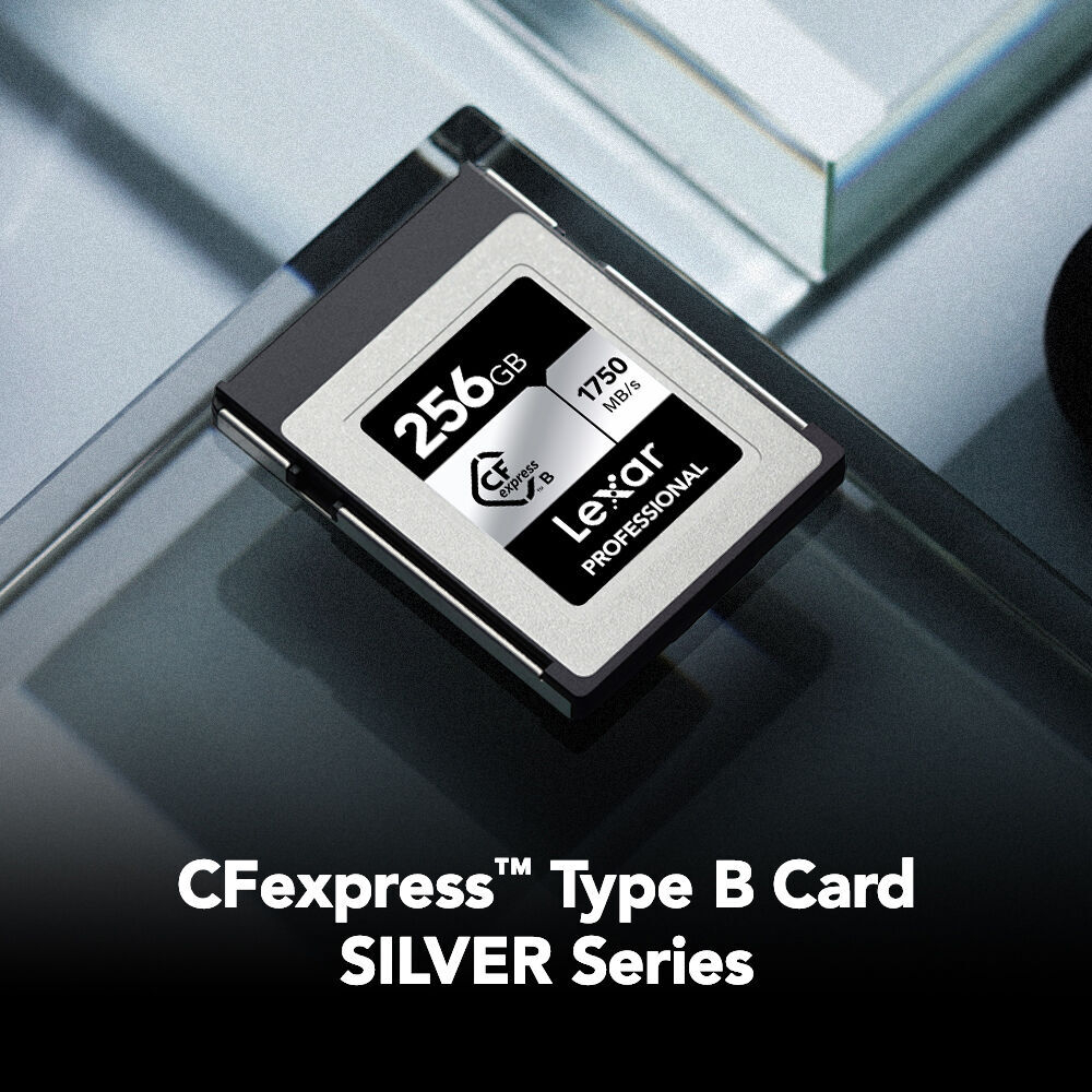 Карта памяти Lexar CFexpress Type B 256Гб (14811101)
