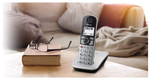 DECT телефон Panasonic KX-TGE510RUS серебристый
