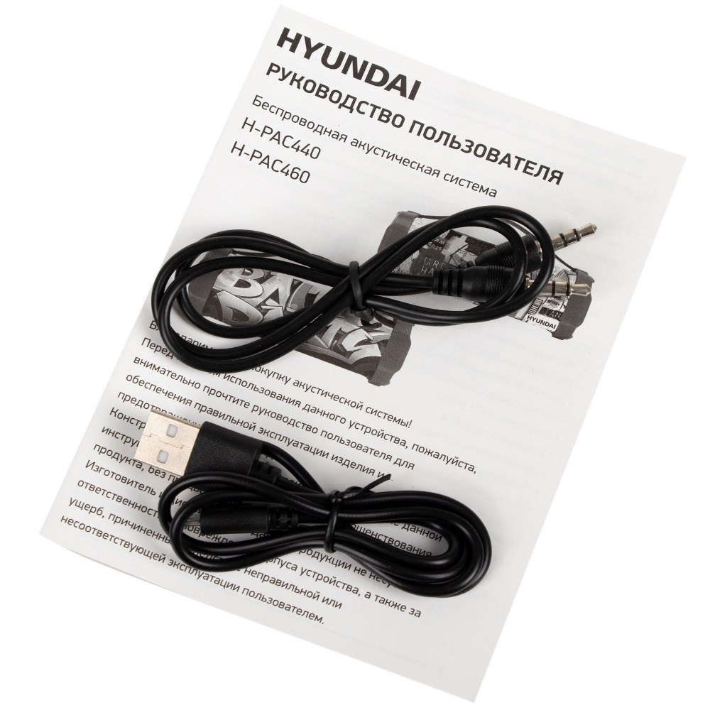 Портативная колонка HYUNDAI H-PAC440 Black