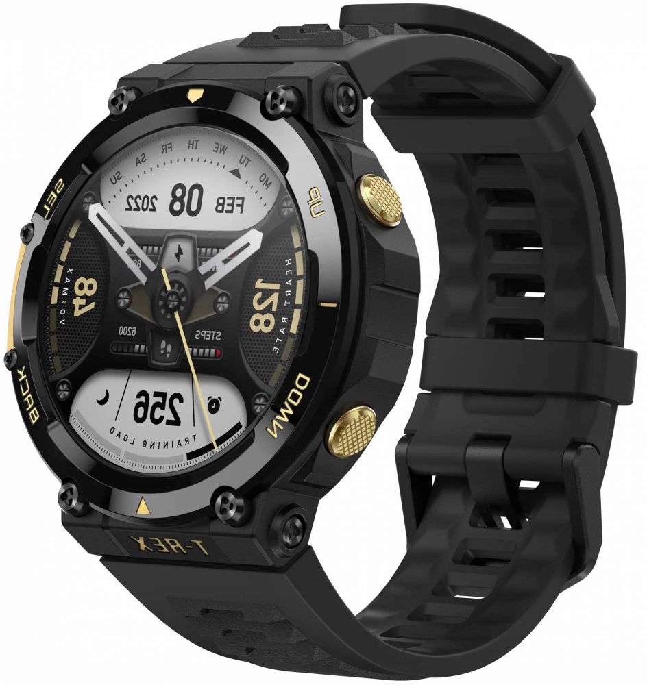 Смарт-часы AMAZFIT T-Rex 2 A2170,  1.39&quot;,  черный/золотистый