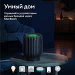Колонка умная Sber SberBoom 40 Вт, с голосовым ассистентом Салют, красная